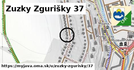 Zuzky Zgurišky 37, Myjava