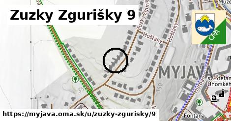 Zuzky Zgurišky 9, Myjava