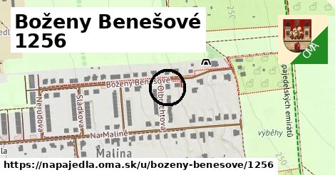 Boženy Benešové 1256, Napajedla