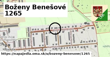 Boženy Benešové 1265, Napajedla