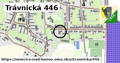Trávnická 446, Němčice nad Hanou