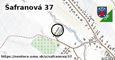 Šafranová 37, Nenince
