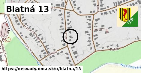 Blatná 13, Nesvady