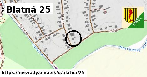 Blatná 25, Nesvady
