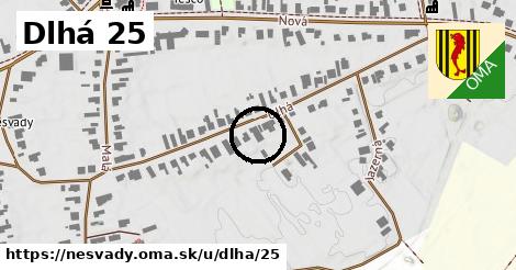 Dlhá 25, Nesvady