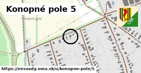 Konopné pole 5, Nesvady