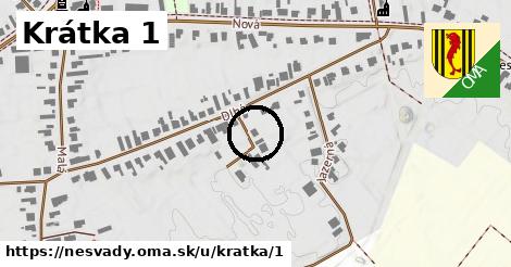 Krátka 1, Nesvady