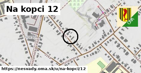 Na kopci 12, Nesvady