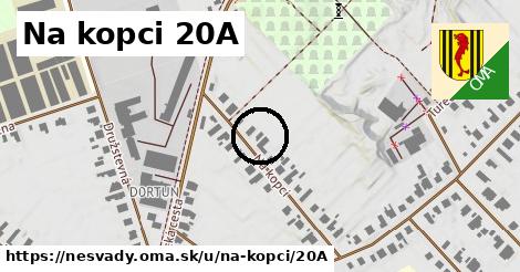 Na kopci 20A, Nesvady