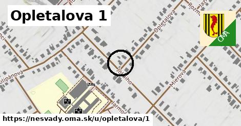 Opletalova 1, Nesvady