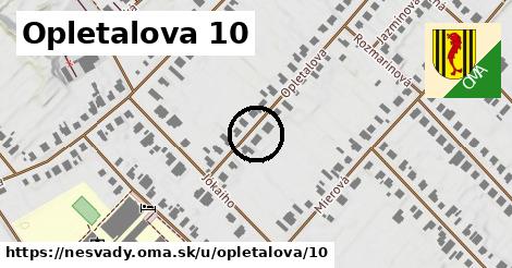 Opletalova 10, Nesvady