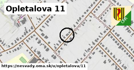 Opletalova 11, Nesvady