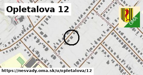 Opletalova 12, Nesvady