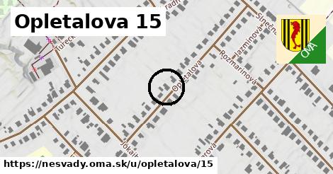 Opletalova 15, Nesvady