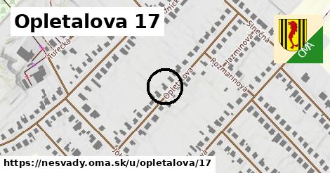 Opletalova 17, Nesvady