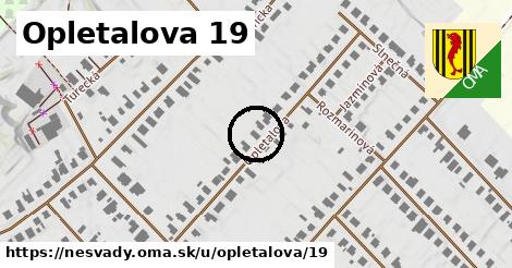 Opletalova 19, Nesvady