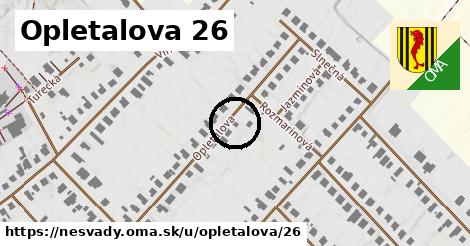 Opletalova 26, Nesvady