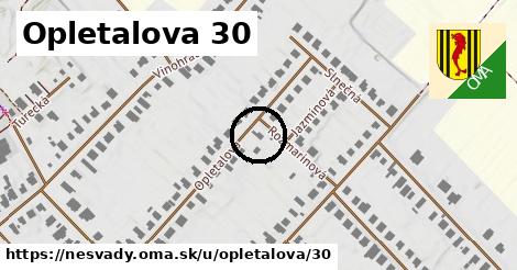 Opletalova 30, Nesvady