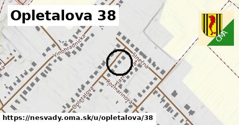 Opletalova 38, Nesvady