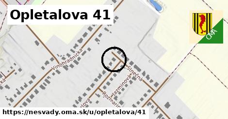 Opletalova 41, Nesvady