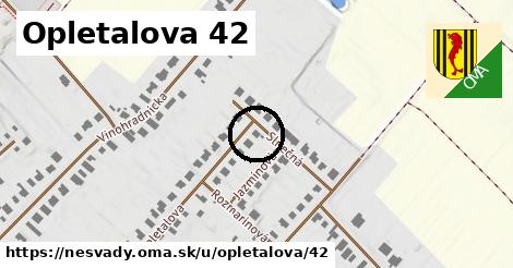 Opletalova 42, Nesvady