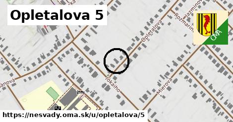 Opletalova 5, Nesvady