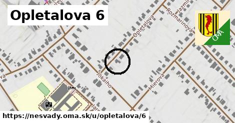 Opletalova 6, Nesvady