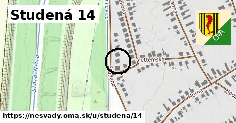 Studená 14, Nesvady