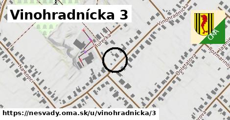 Vinohradnícka 3, Nesvady