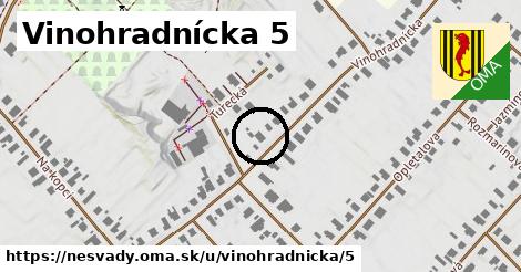 Vinohradnícka 5, Nesvady
