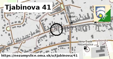 Tjabinova 41, Nezamyslice