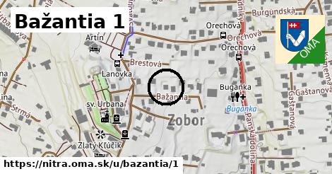 Bažantia 1, Nitra