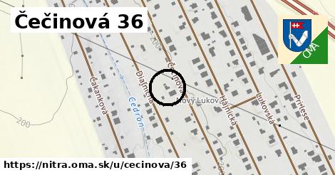 Čečinová 36, Nitra