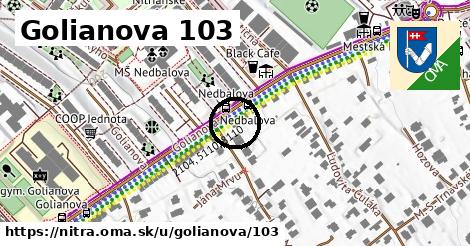 Golianova 103, Nitra