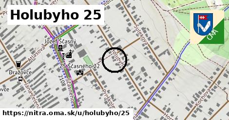 Holubyho 25, Nitra