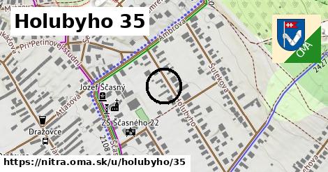 Holubyho 35, Nitra