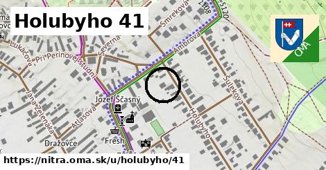 Holubyho 41, Nitra