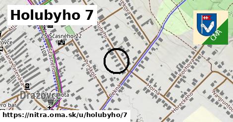 Holubyho 7, Nitra