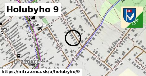 Holubyho 9, Nitra