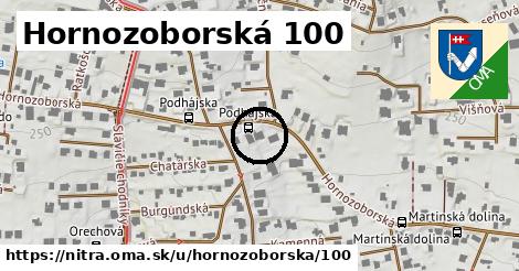 Hornozoborská 100, Nitra