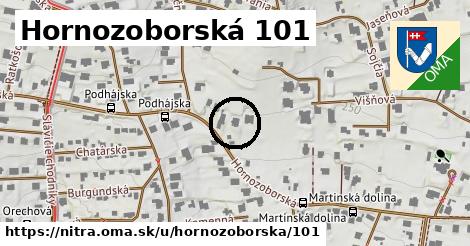Hornozoborská 101, Nitra