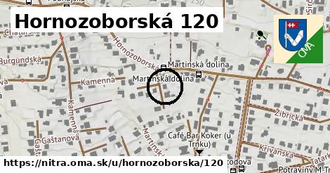 Hornozoborská 120, Nitra