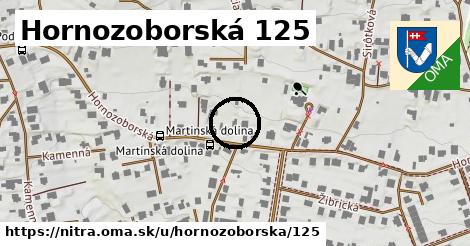 Hornozoborská 125, Nitra