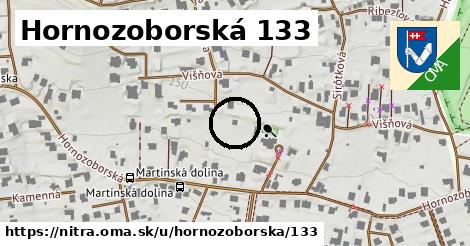 Hornozoborská 133, Nitra