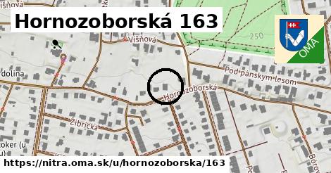 Hornozoborská 163, Nitra