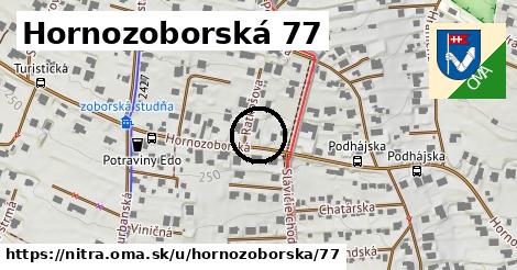 Hornozoborská 77, Nitra