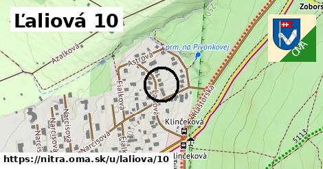 Ľaliová 10, Nitra