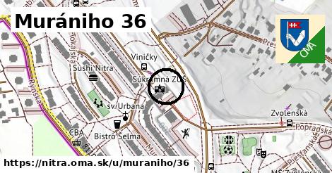 Murániho 36, Nitra