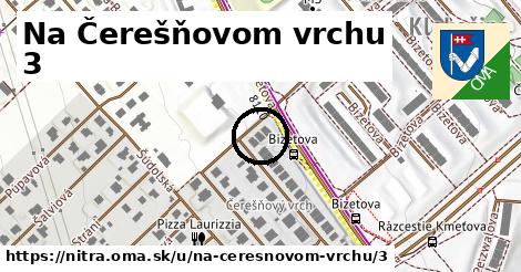 Na Čerešňovom vrchu 3, Nitra