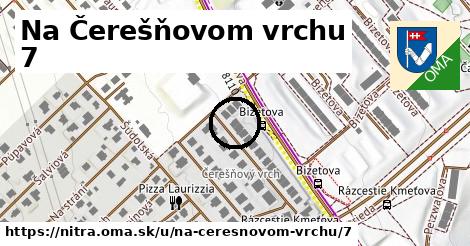 Na Čerešňovom vrchu 7, Nitra
